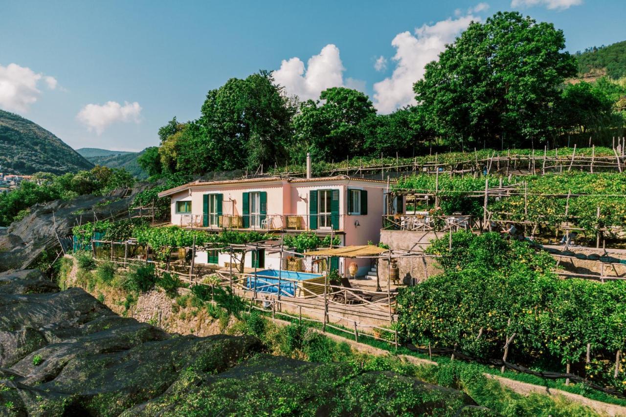 Pucare Apartments Tramonti Dış mekan fotoğraf