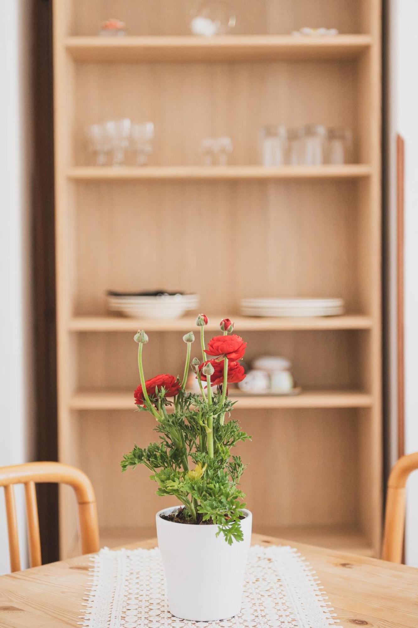 Pucare Apartments Tramonti Dış mekan fotoğraf